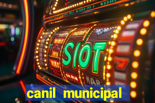 canil municipal porto alegre